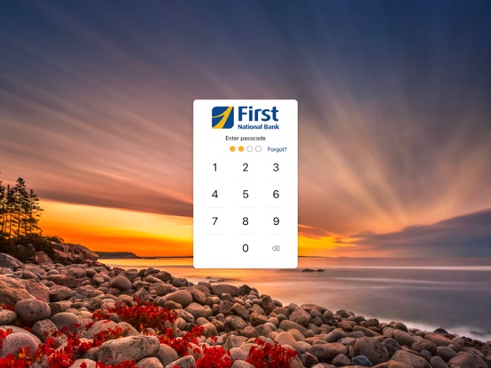 FNB Maine iPad screenshot 2 - Finance app