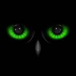 Download Night Eyes - Night Camera app