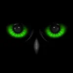 Night Eyes - Night Camera App Negative Reviews