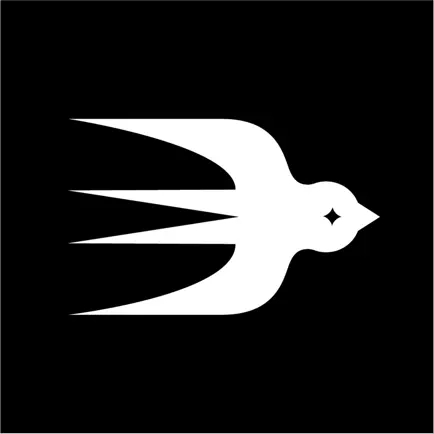 Team Zuri Читы