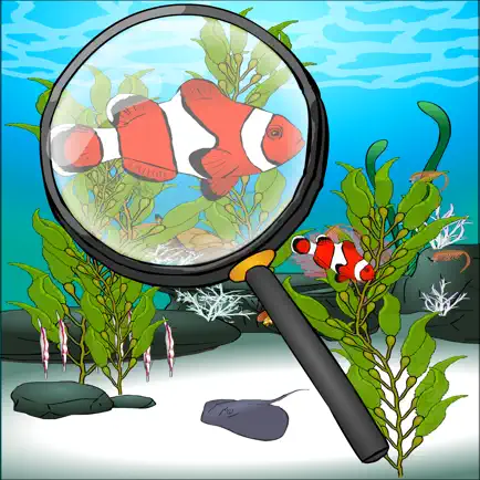 Find The Hidden Fish Cheats