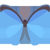 Butterfly Package icon