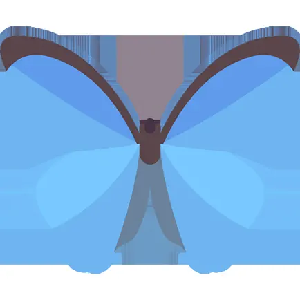 Butterfly Package Читы
