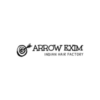 Arrow Exim logo