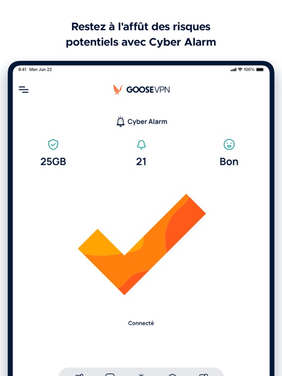 Screenshot #4 pour VPN - GOOSE VPN