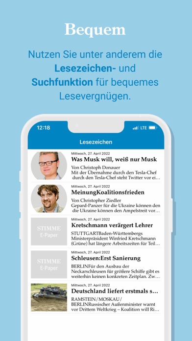 Stimme E-Paper Screenshot