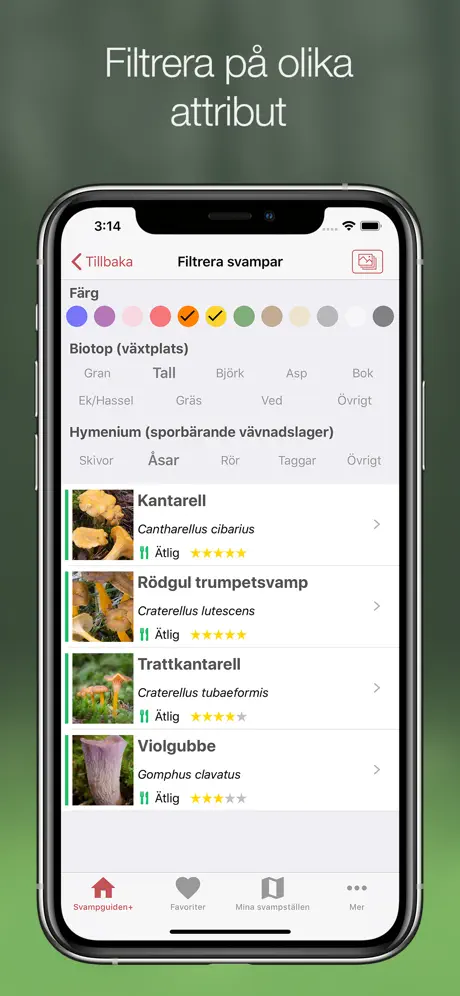 Svampguiden+