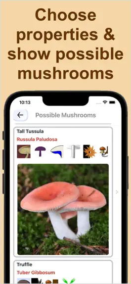 Game screenshot Forest Mushroom Identification apk