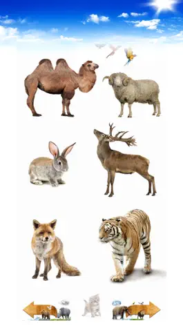 Game screenshot Amazing Animal Sounds apk