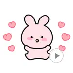 ANI Lovely PinkRabbit Pingto App Contact