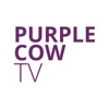 Purple Cow TV icon