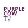 Purple Cow TV contact information