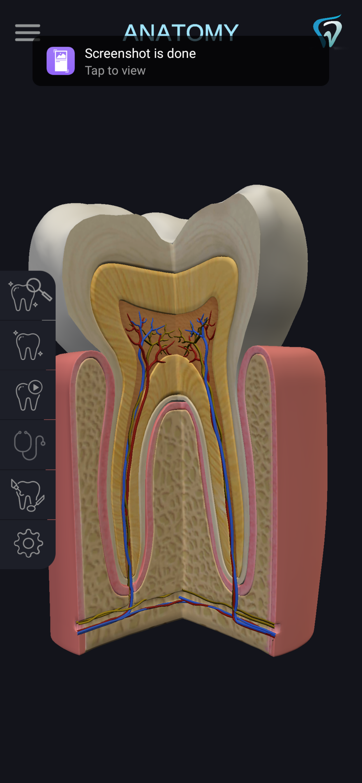 ZR Dental screenshot 4