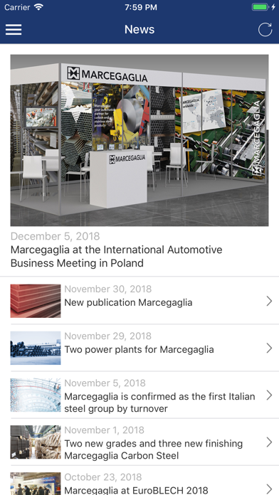 Marcegaglia Screenshot