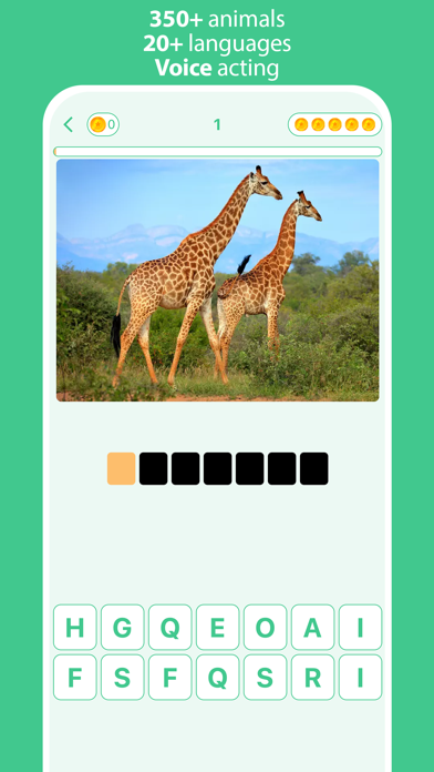 Animals: 4 Pics & Word Quiz Screenshot