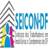 SEICON-DF icon