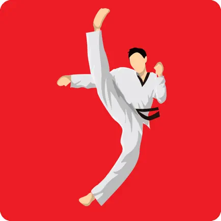 Taekwondo Workout At Home Cheats