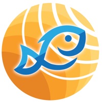 BluFin logo