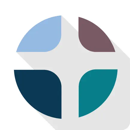 GFC Belp Münsingen Читы
