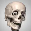 Skelly - Art Model App Feedback