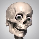 Download Skelly - Art Model app