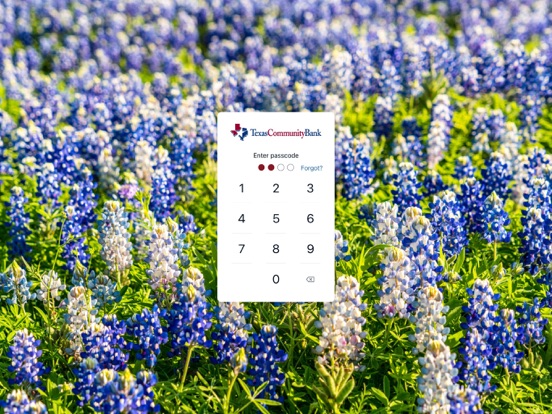 TX Community Bank iPad screenshot 2 - Finance app