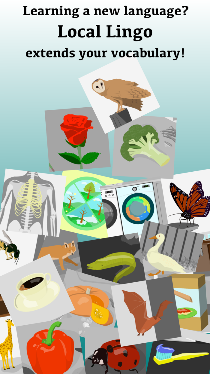 Local Lingo