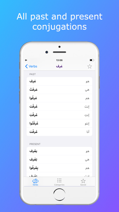 Essential Levantine Arabicのおすすめ画像8