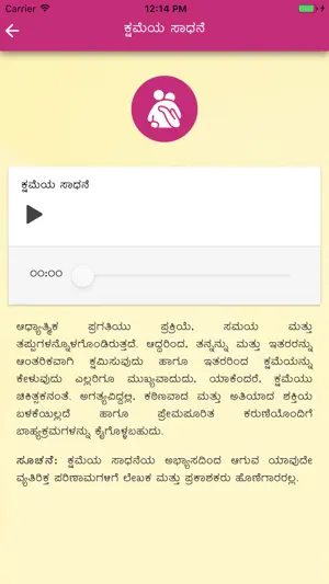 YPV Sadhana - kannada screenshot 4