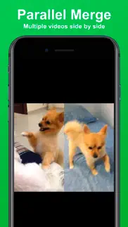 video merger: join videos iphone screenshot 3
