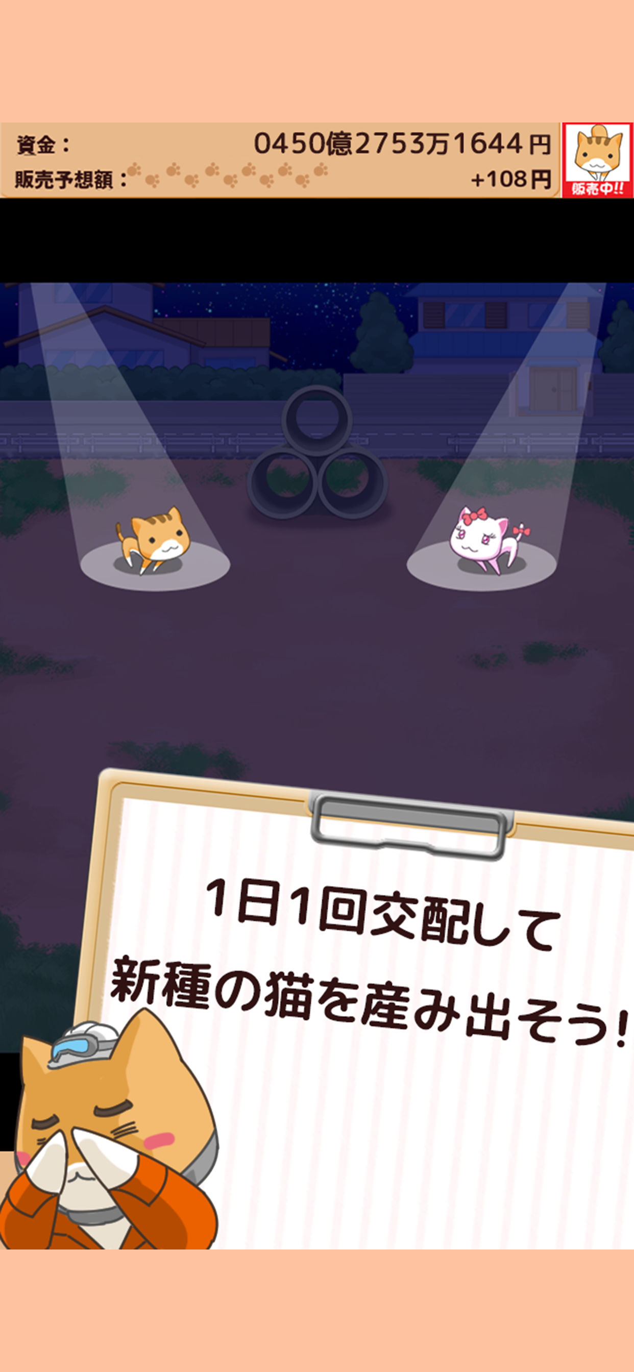 捨て猫レスキュー