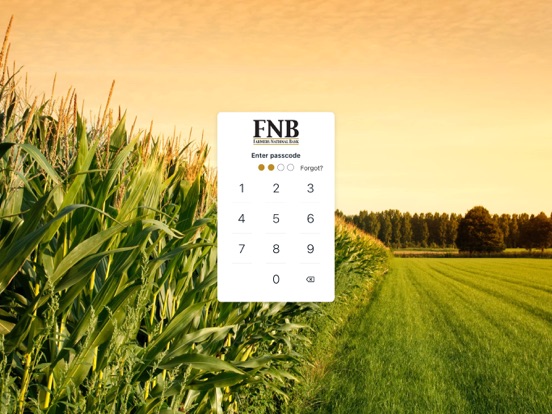 myfarmersnationalbank iPad screenshot 2 - Finance app