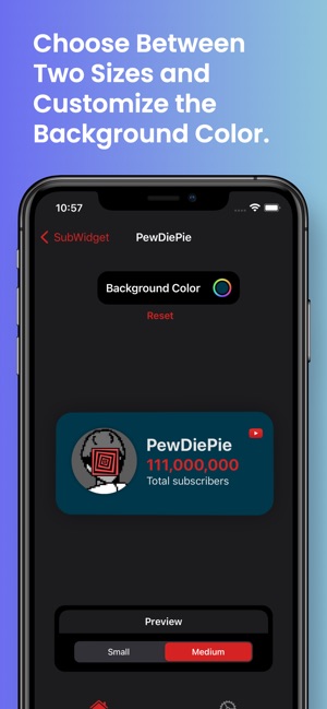 Subscriber Count Widget for iPhone - iOS 14 FREE