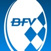 BFV icon