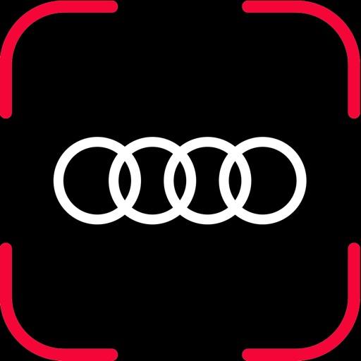 Audi Scan