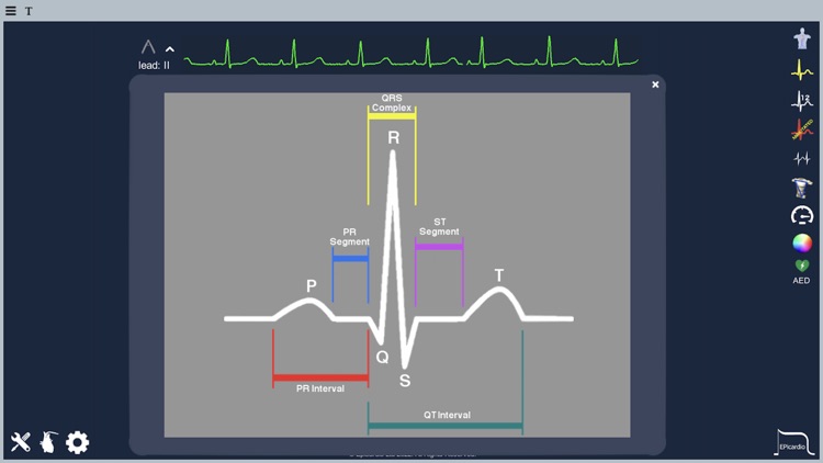 Epicardio Heart Simulator screenshot-3