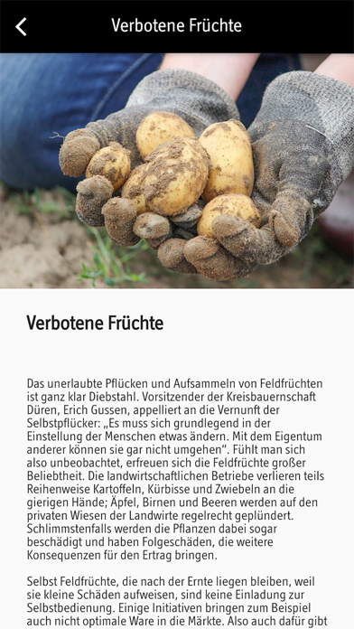 HERZOG Kultur- & Stadtmagazin Screenshot