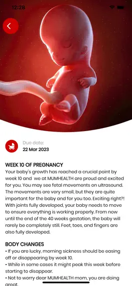 Game screenshot My Pregnancy Tracker apk