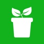 Pollice verde app download