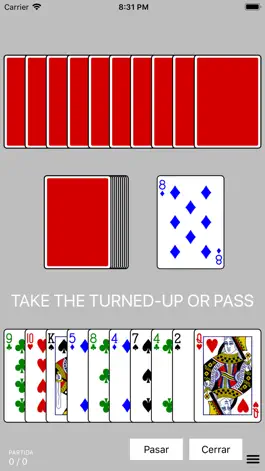 Game screenshot iGin Rummy apk