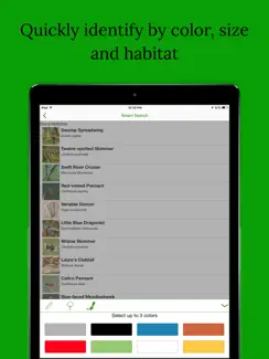 Dragonfly Damselfly ID App iPad image 4
