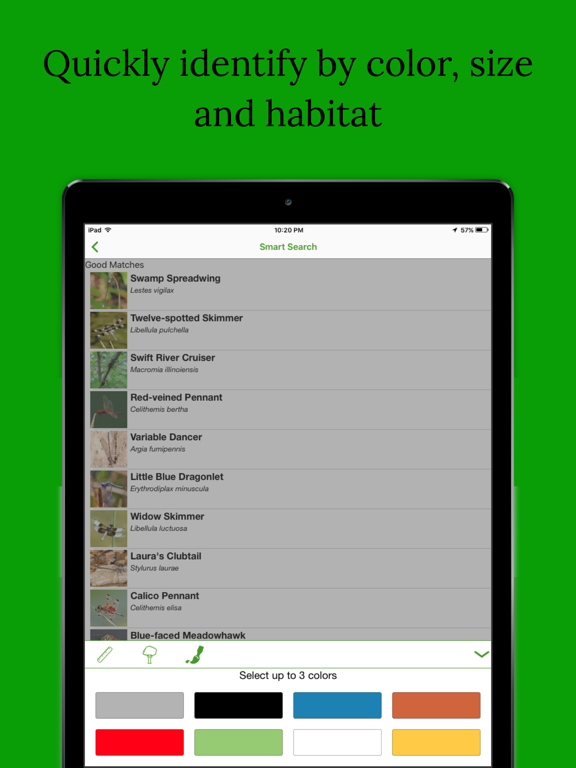 Dragonfly Damselfly ID App iPad screenshot 4 - Reference app