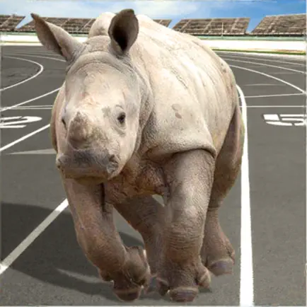 Crazy Wild Animal Racing Game Читы