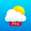 Weather 14 days - Meteored Pro