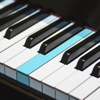 REAL PIANO lecciones y acordes - KOLB SISTEMAS - EIRELI