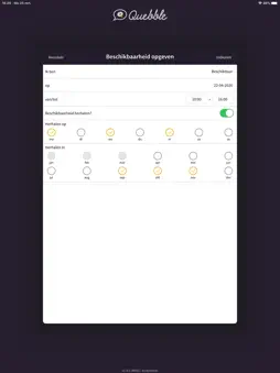 Quebble Pro screenshot 18