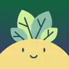 Plant Identifier, Care: Planty App Positive Reviews