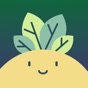 Plant Identifier, Care: Planty app download