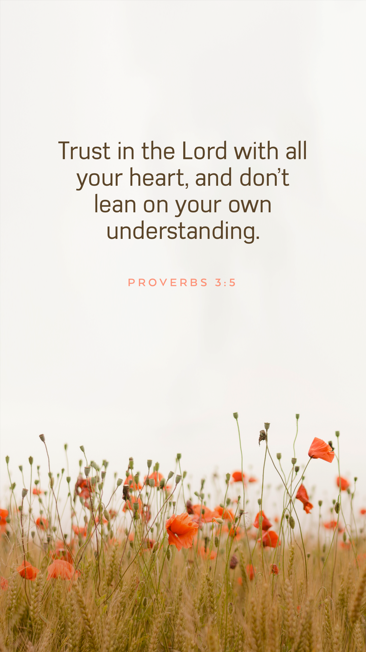#Bible - Verse of the Day screenshot 5