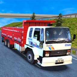 Truck Driving Simulator Games